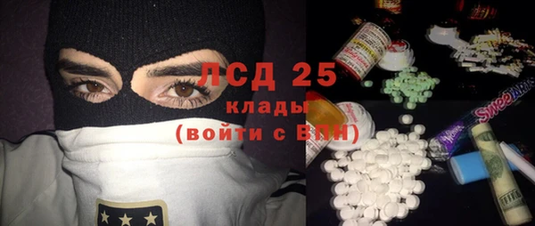 индика Аркадак