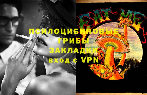 индика Аркадак