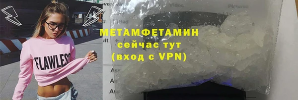 индика Аркадак