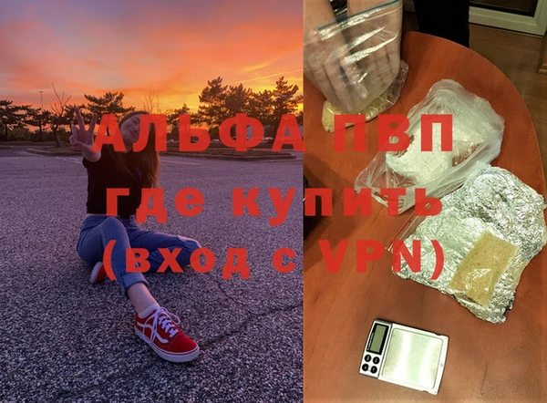 индика Аркадак