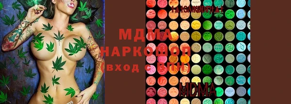 индика Аркадак