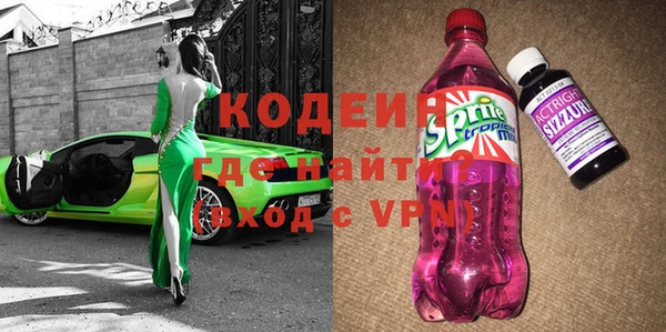индика Аркадак