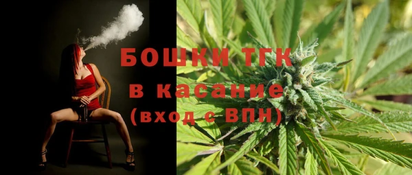 индика Аркадак